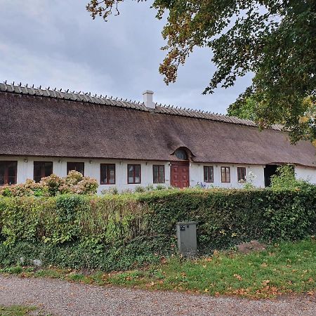 Ragnhilds Gard, Hostel Nyord Zewnętrze zdjęcie